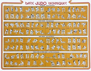Judo Techniques pic